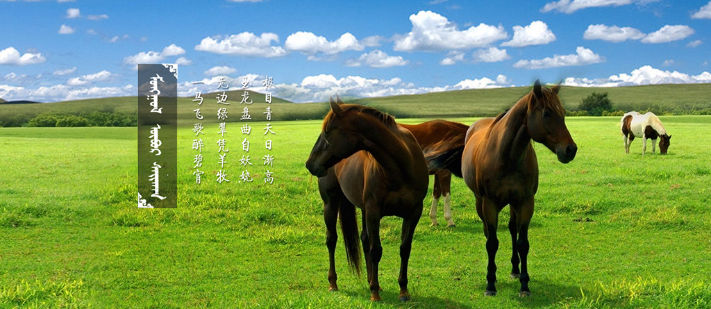 內(nèi)蒙古巴音錫勒草原旅游開發(fā)有限公司